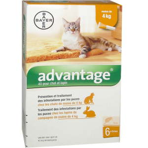 Advantage 40 Chat de 1 à 4kg - 6 Pipettes