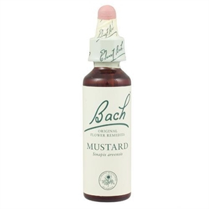 Fleur de Bach "Mustard n°21" - 20 ml