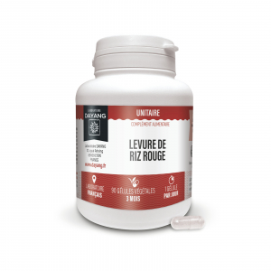DAYANG Levure de riz rouge 2,9 mg 90 gélules végétales